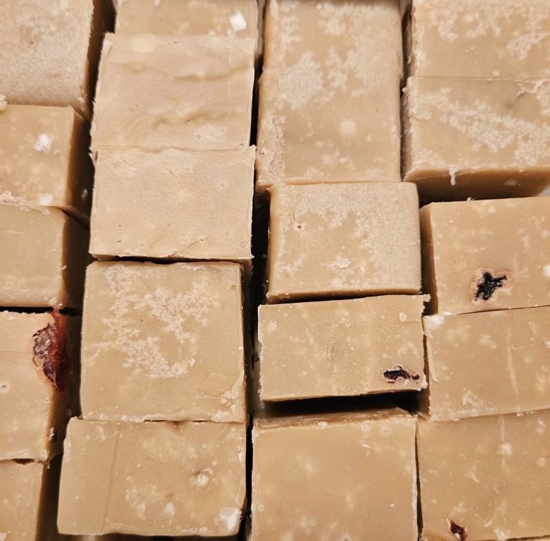 Fruit & Nut Flavour Luxury Hand Made Fudge Factory